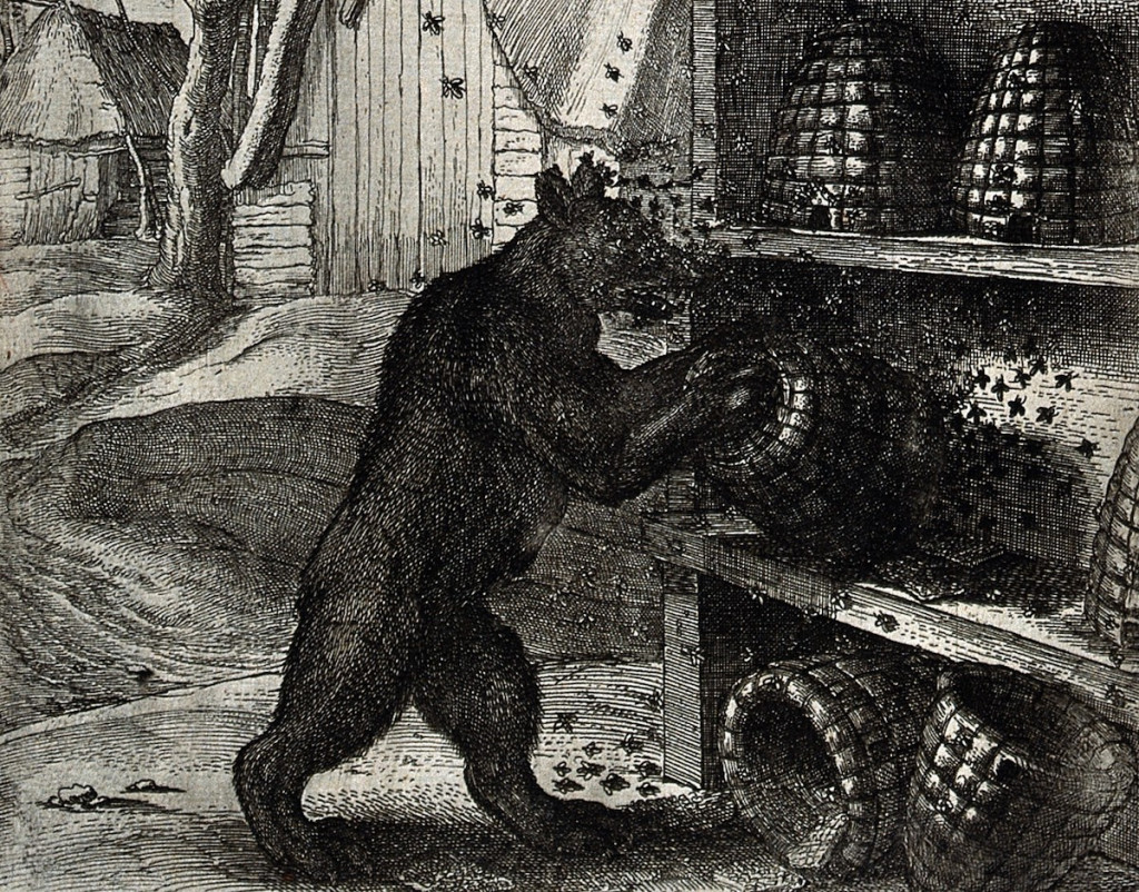 Market Wrap: Traders ‘Whack the Beehive’ as Bitcoin Surges, Then Plunges