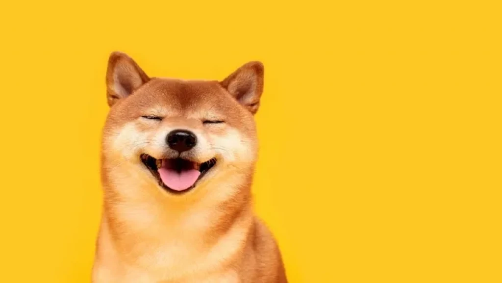 Shiba Inu Hits Record High as Bitcoin Eyes Weekly Price Loss