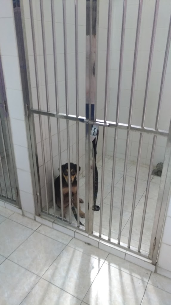 Hospital Veterinar Kuala Lumpur