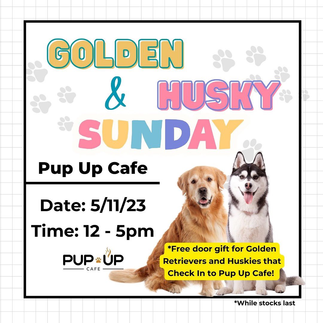 Golden and Husky day