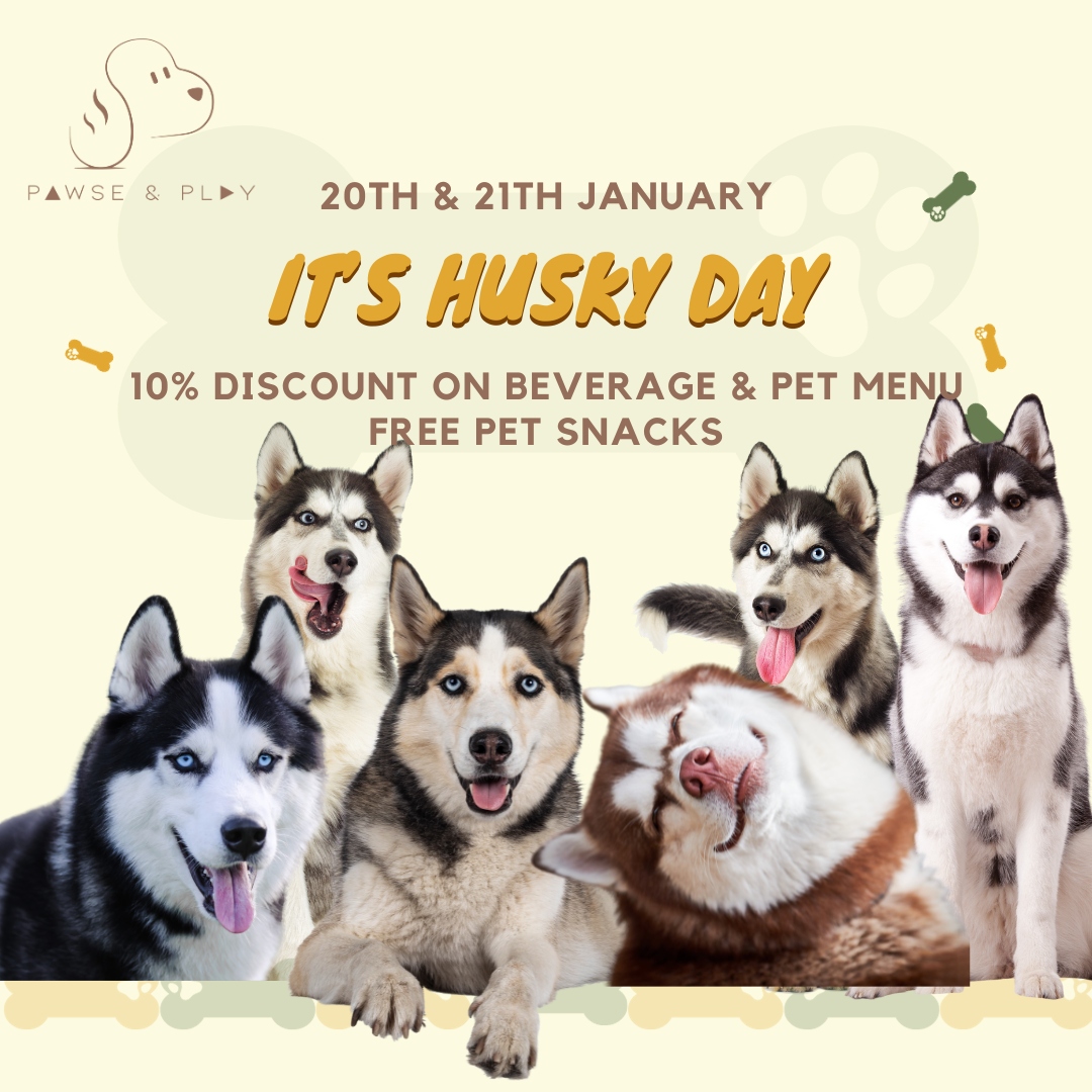 It's Husky Day!