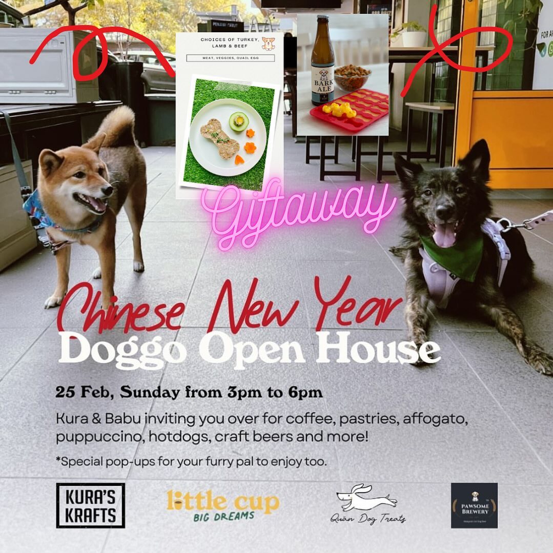 Chinese New Year Doggo Open House