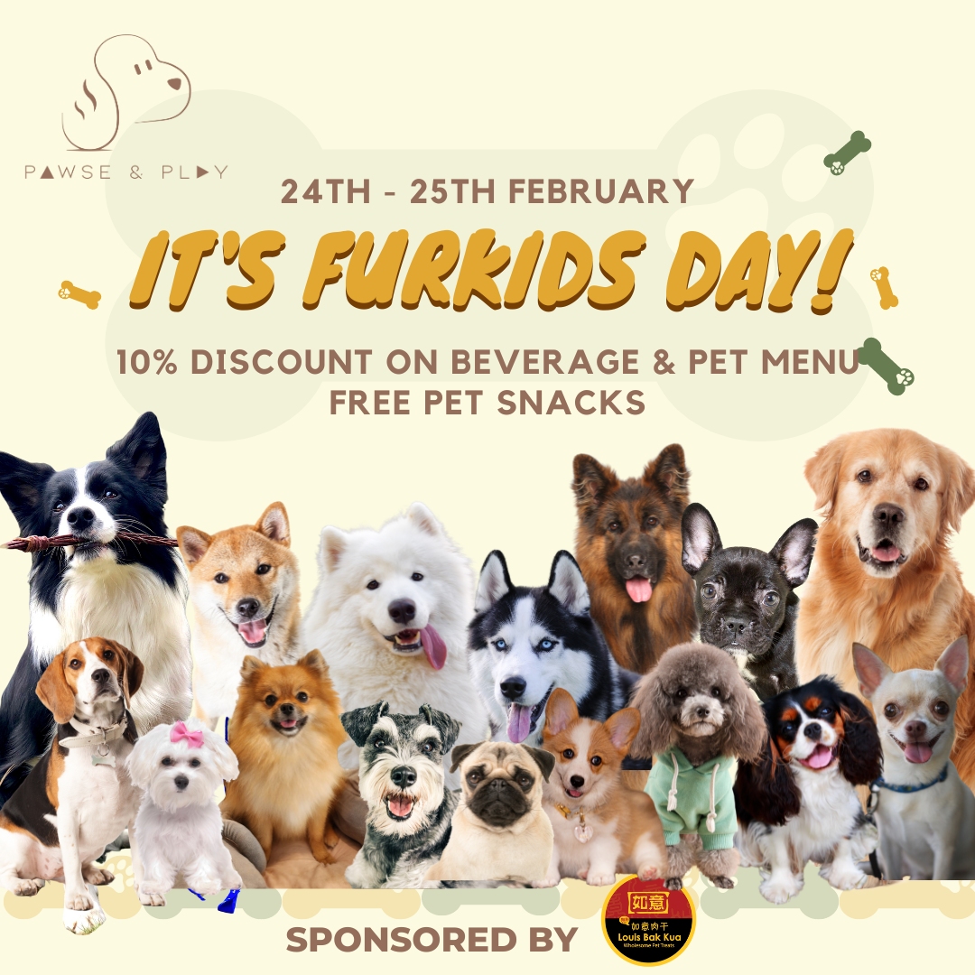 It's Furkids Day!