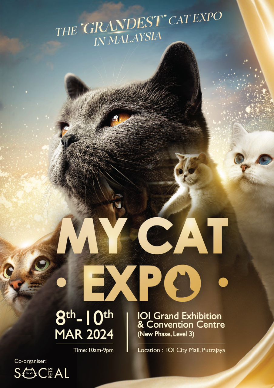 My Cat Expo
