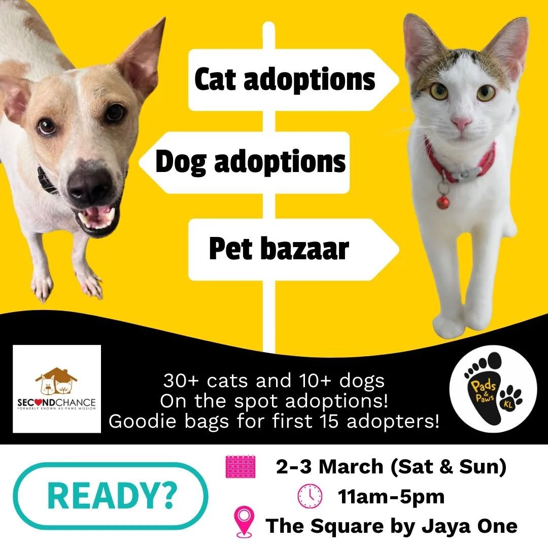 Adoption Event and Pet Bazaar
