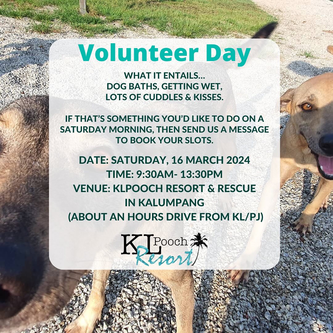 KLPOOCH Resort and Rescue and volunteer