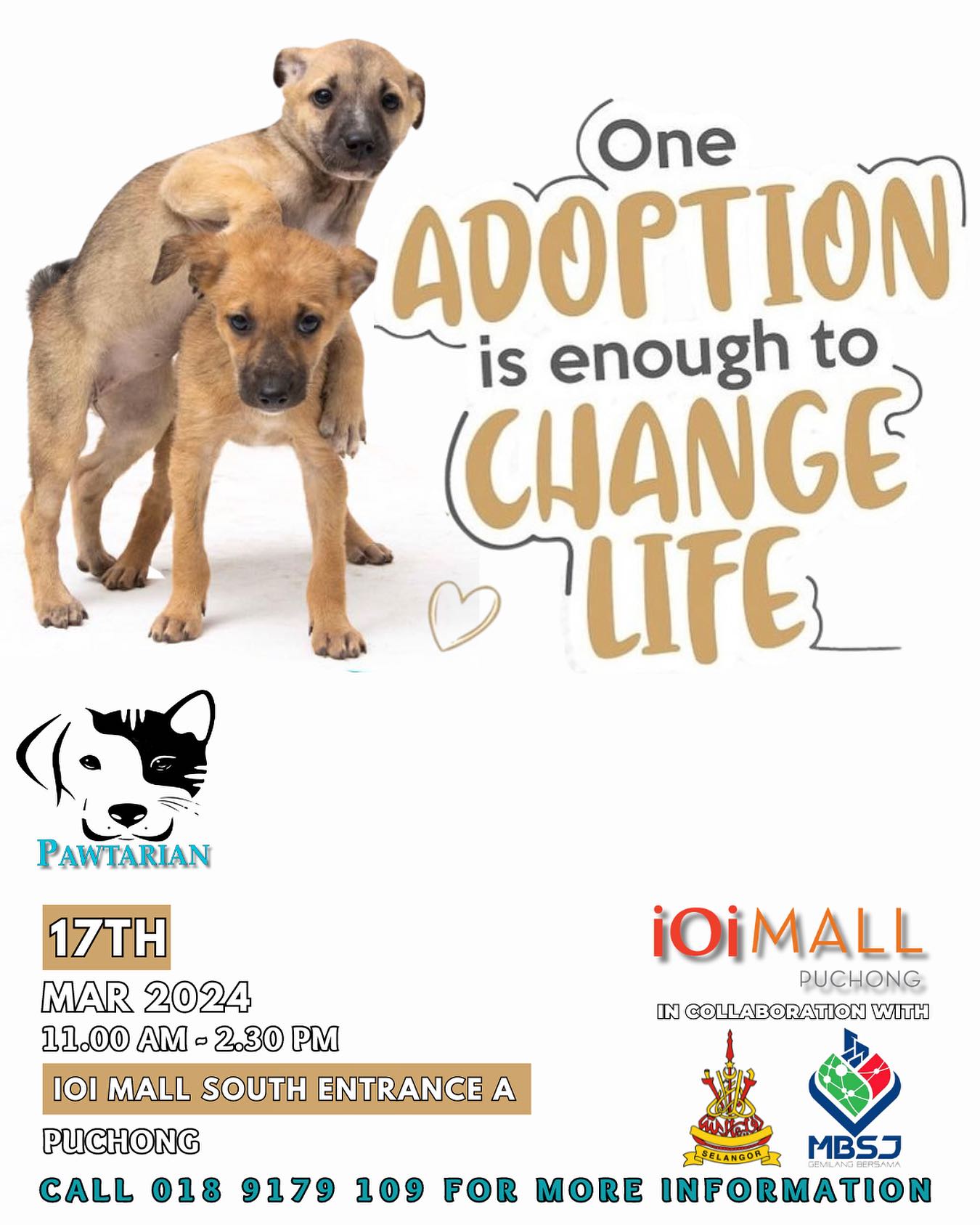 One adoption is enough to change life