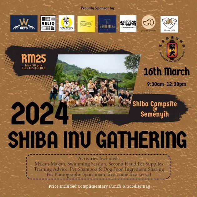 Shiba Inu Gathering