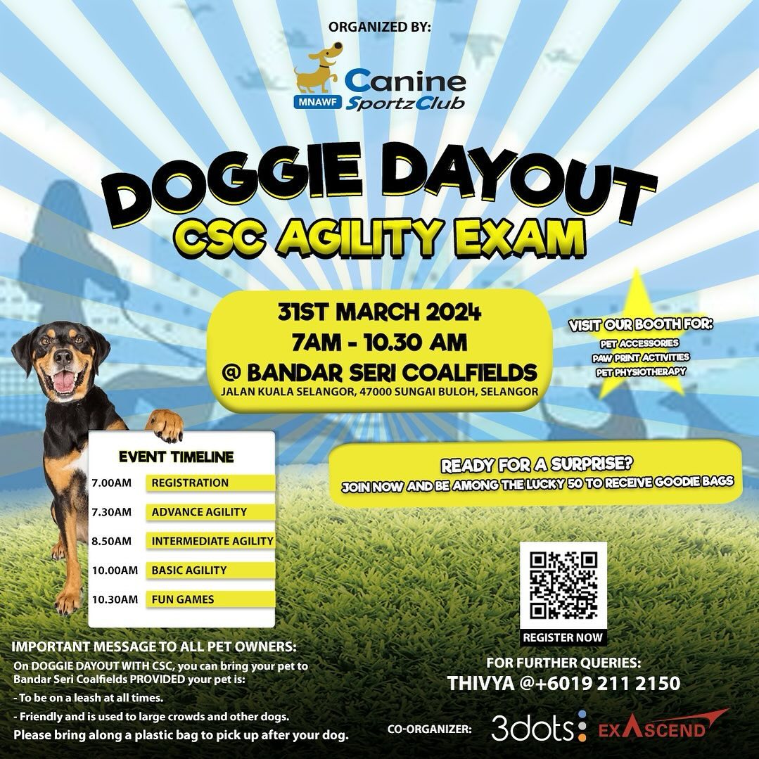 Doggie Day Out