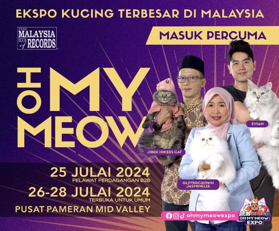 Oh My Meow