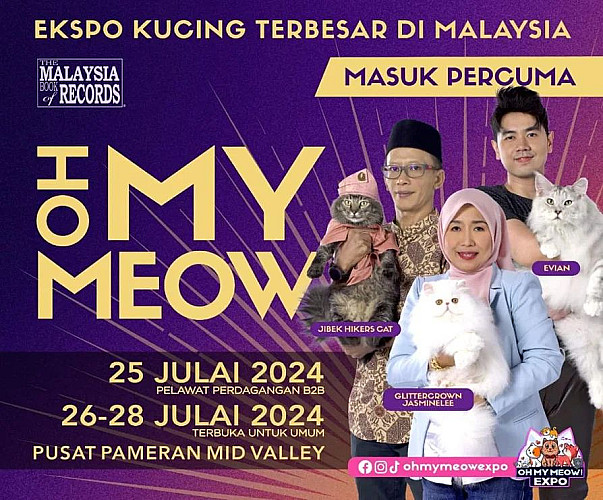 Oh My Meow