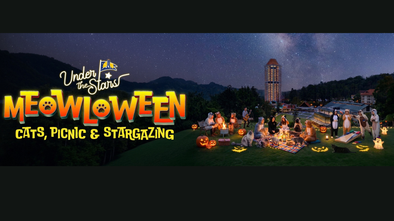 Meowloween Party