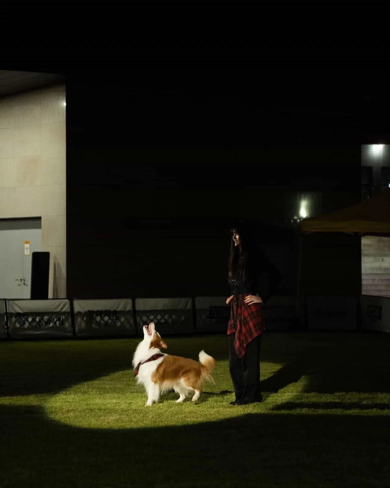 Dog Sports Dance (DSD)