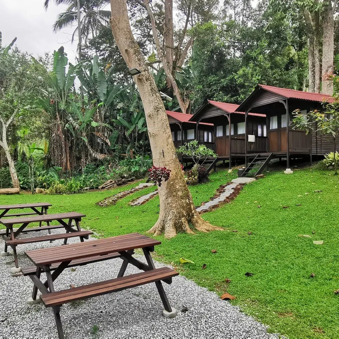 Griffin Guesthouse Janda Baik