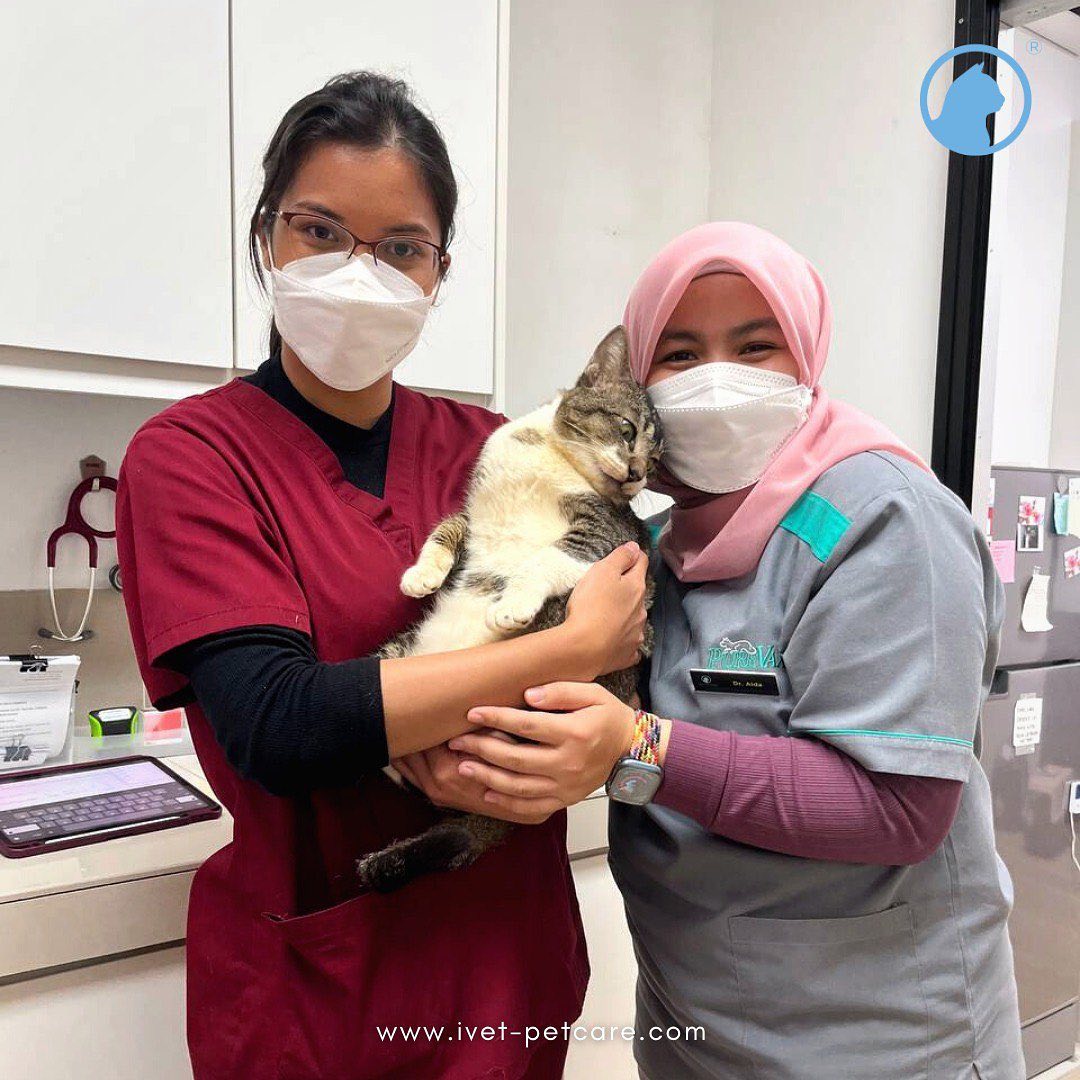 KLINIK HAIWAN iVET PETCARE PJ